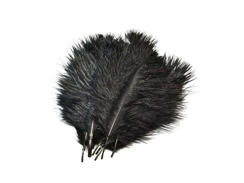 Miss Ostrich Hackles