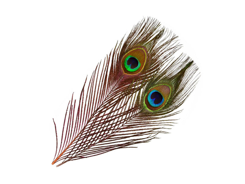 Frödin Peacock Eye Feathers