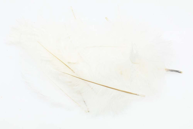 Micro Ostrich Spey Plumes_14