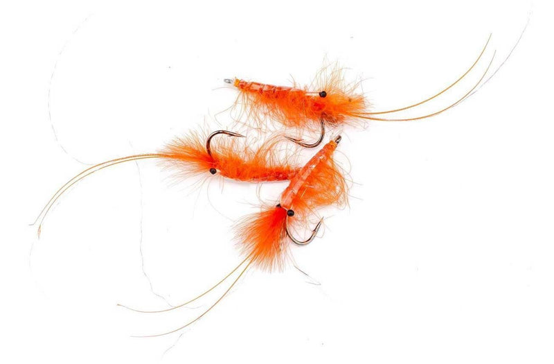 CDC Shrimp Orange_1