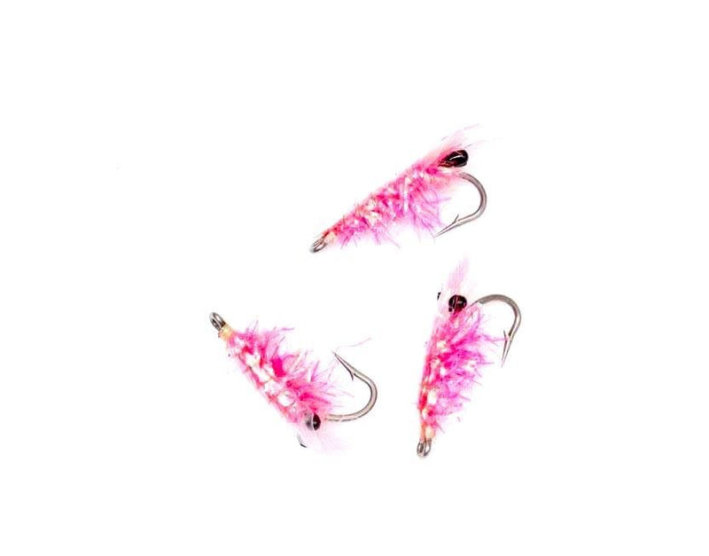 Crystal Shrimp Pink_1