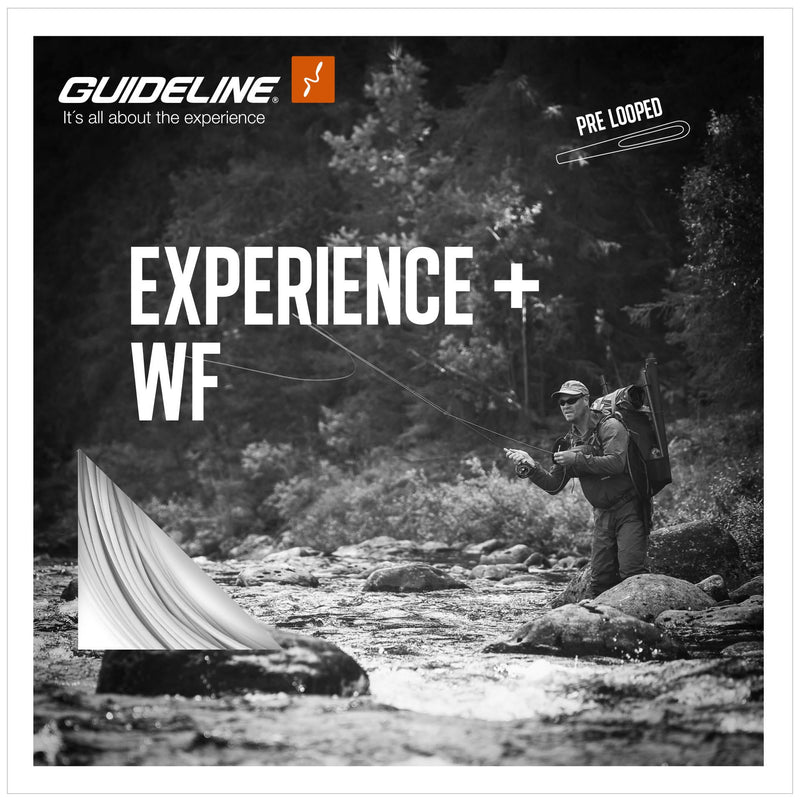 Guideline Experience+ WF Flytande - Fluglina_2