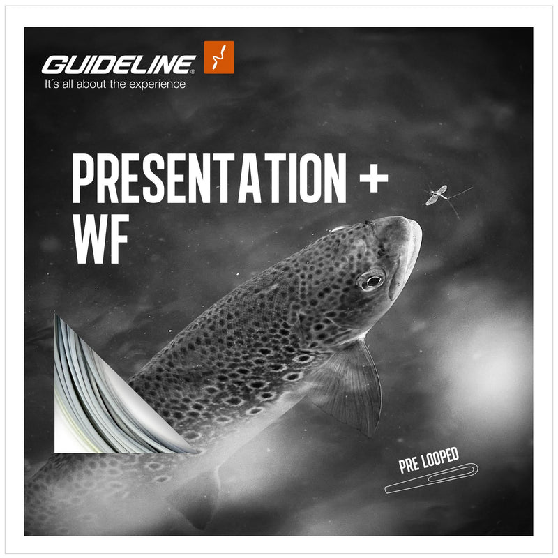 Guideline Presentation+ WF Flytande - Fluglina_2
