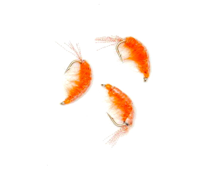 Seaweed Flea Orange