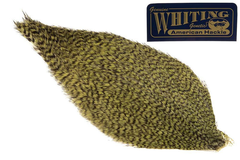 Whiting American Rooster Cape_2